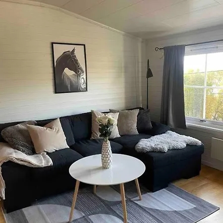 Lejlighed Koselig 3 Roms Loftsleilighet